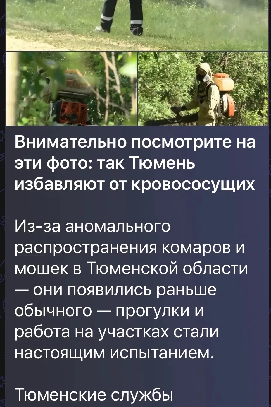 Изображение из сообщения канала