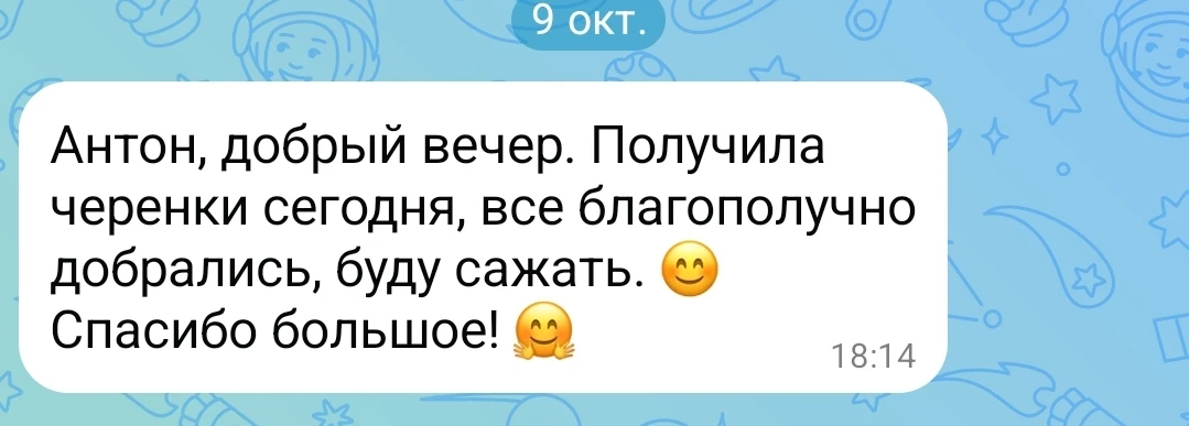 Изображение из сообщения канала