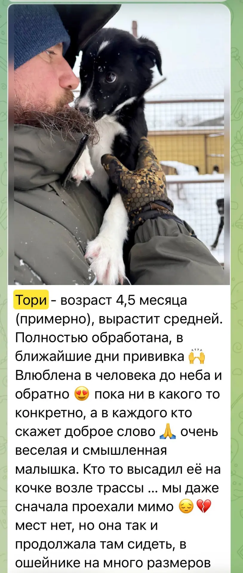 Изображение из сообщения канала