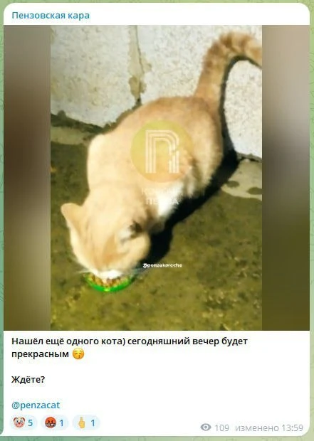 Изображение из сообщения канала