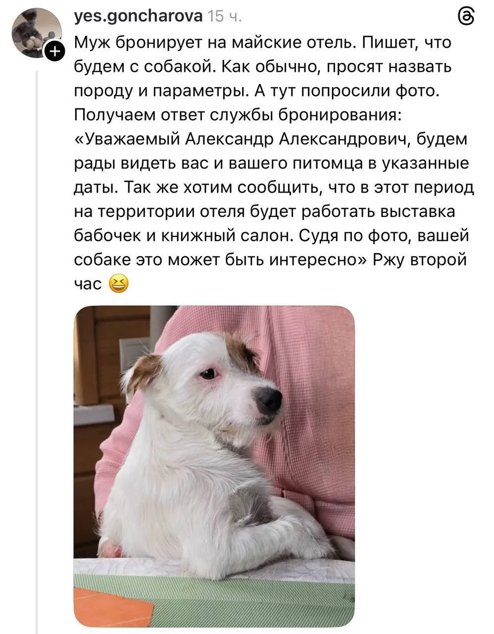 Изображение из сообщения канала