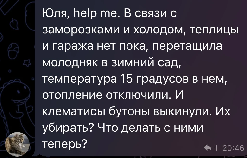 Изображение из сообщения канала