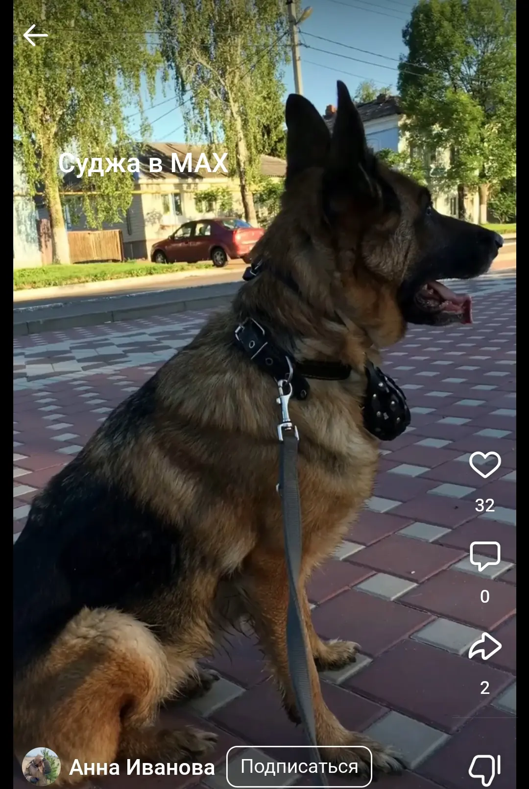 Изображение из сообщения канала