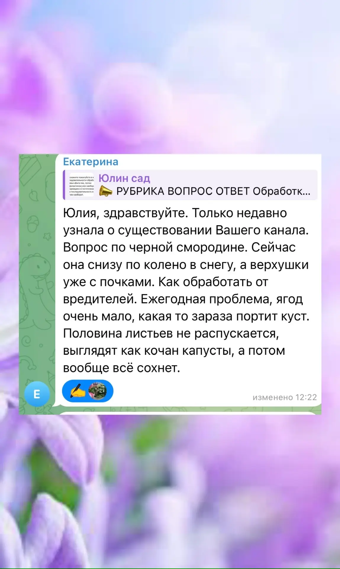 Изображение из сообщения канала