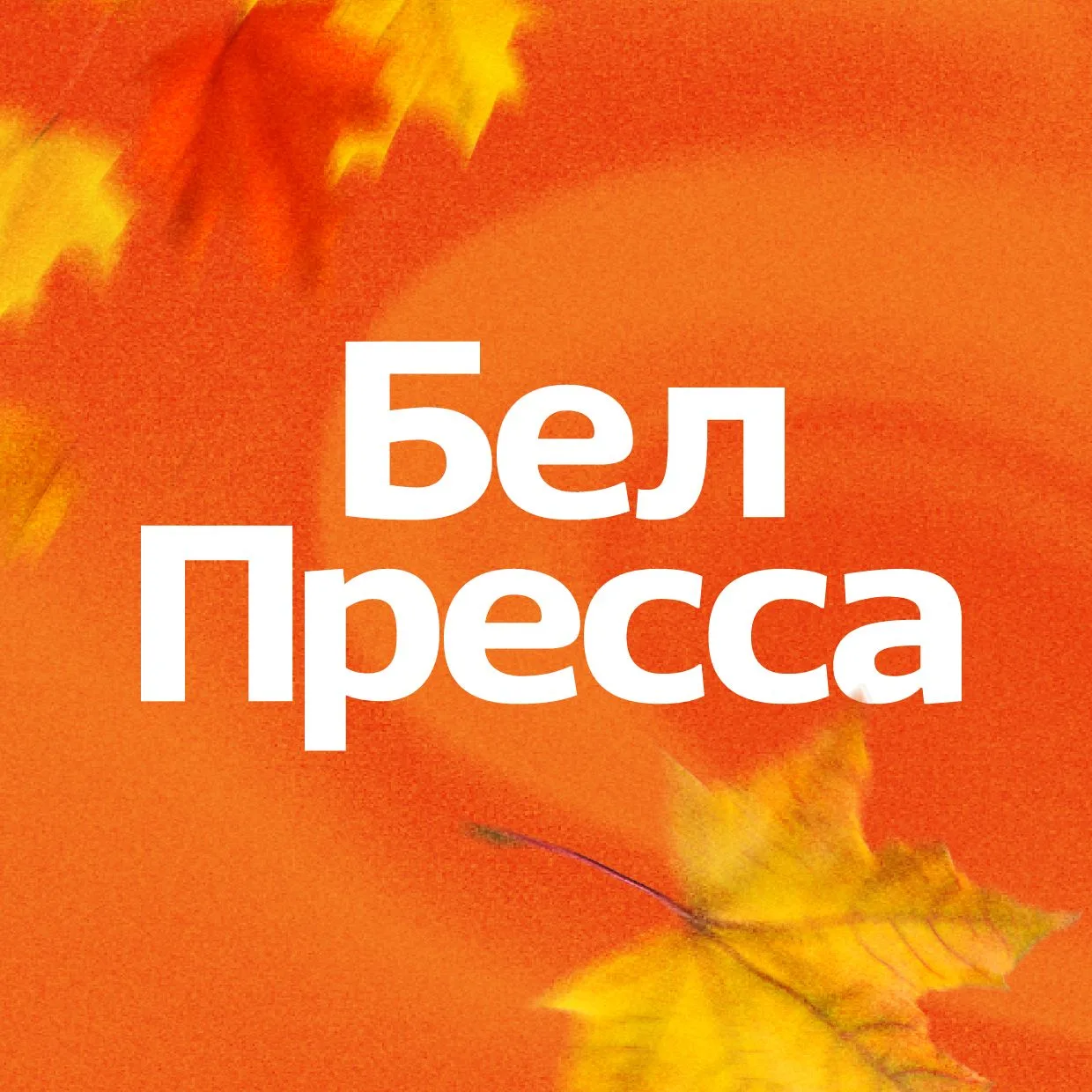 Фотография канала Max БелПресса | Новости Белгорода и области