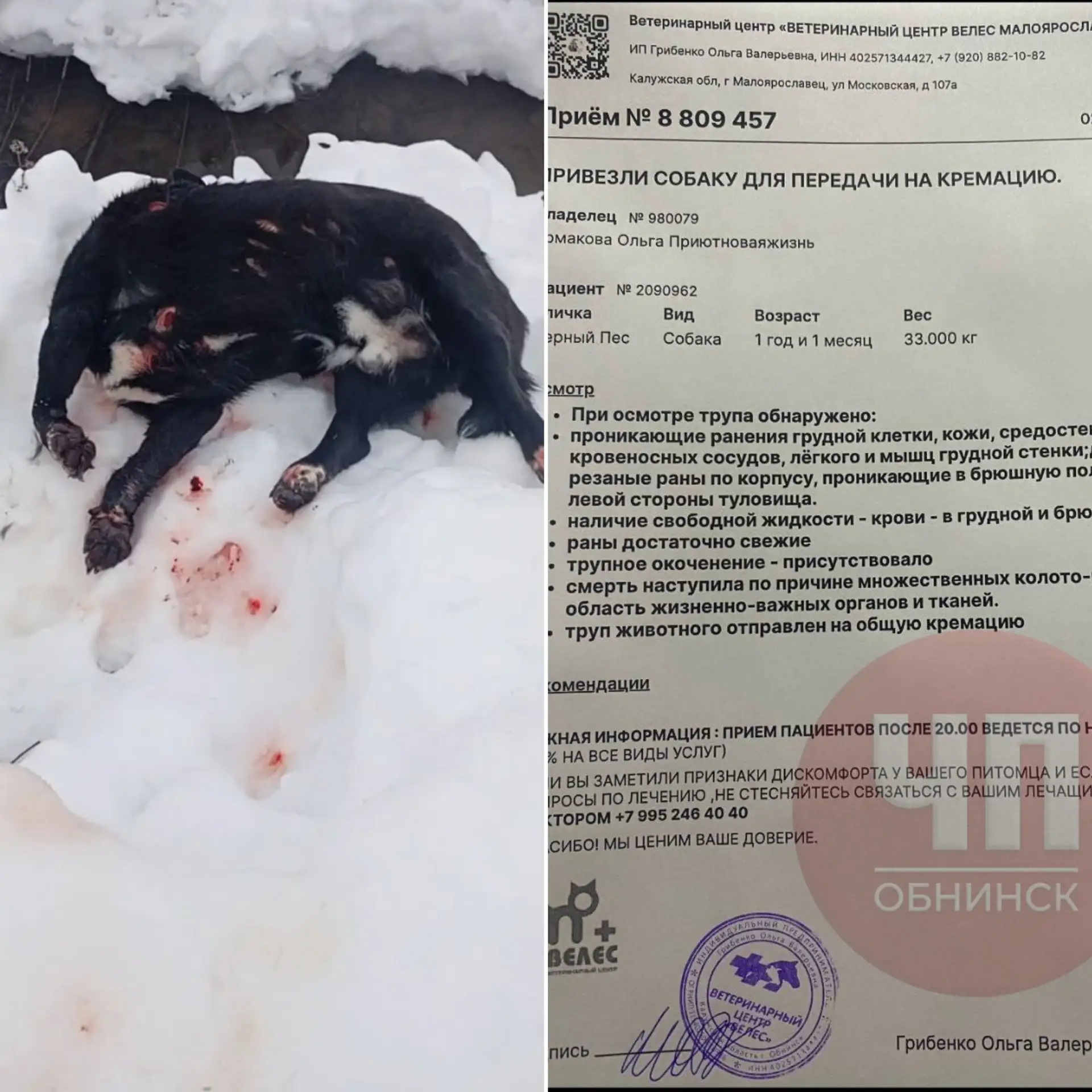 Изображение из сообщения канала