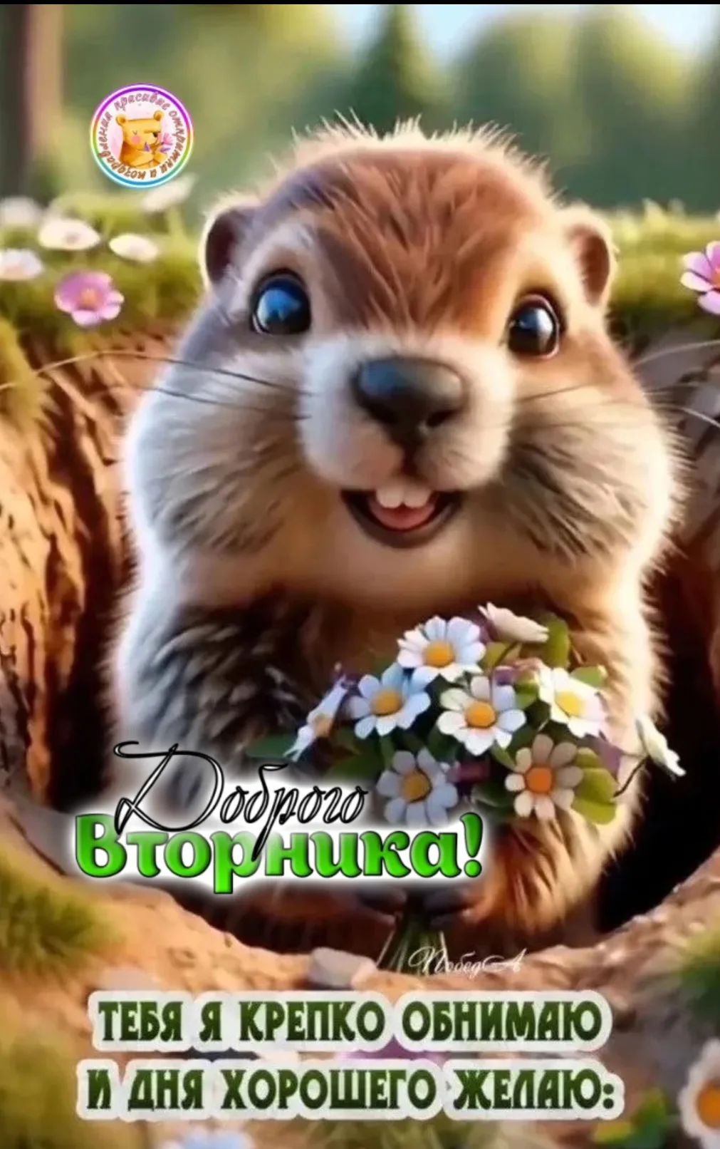 Изображение из сообщения канала