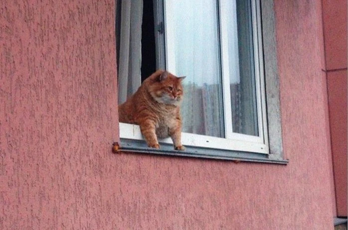 Логотип