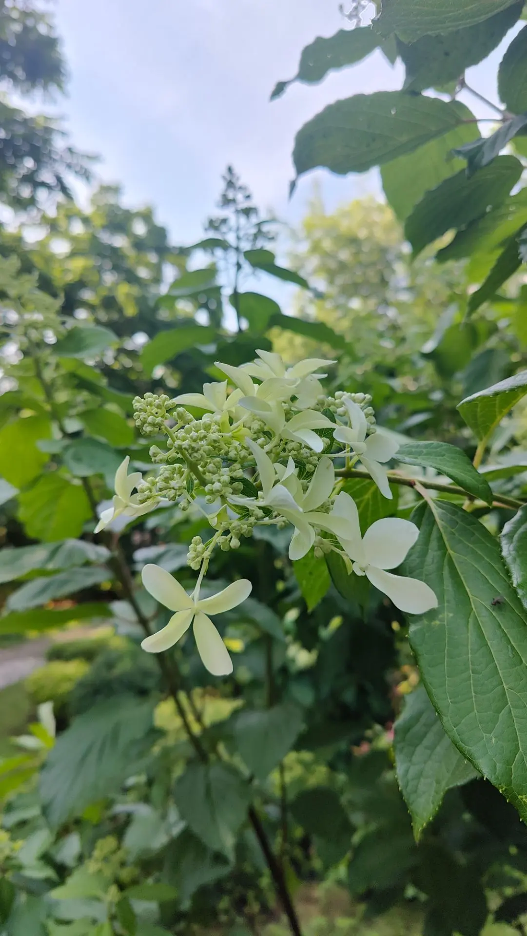 Фото 3