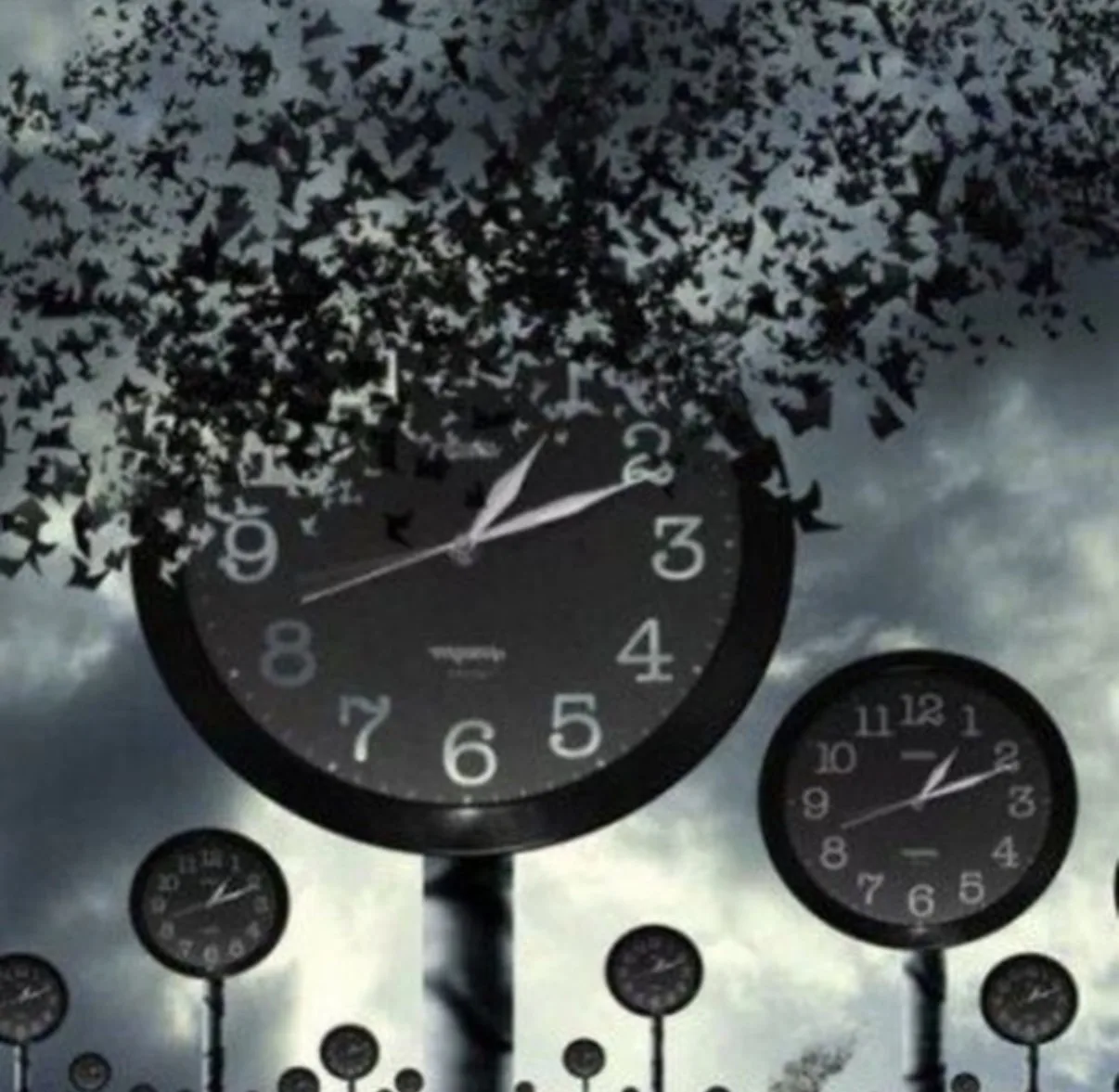 Логотип канала