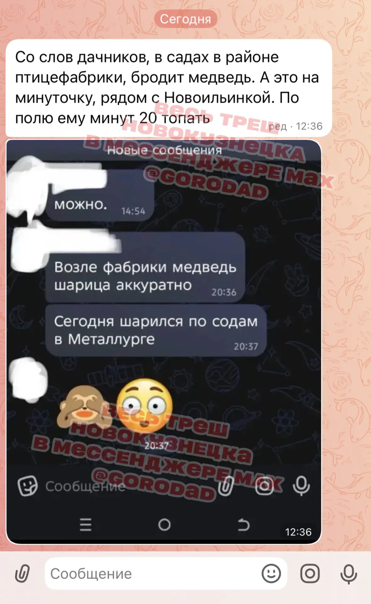 Изображение из сообщения канала