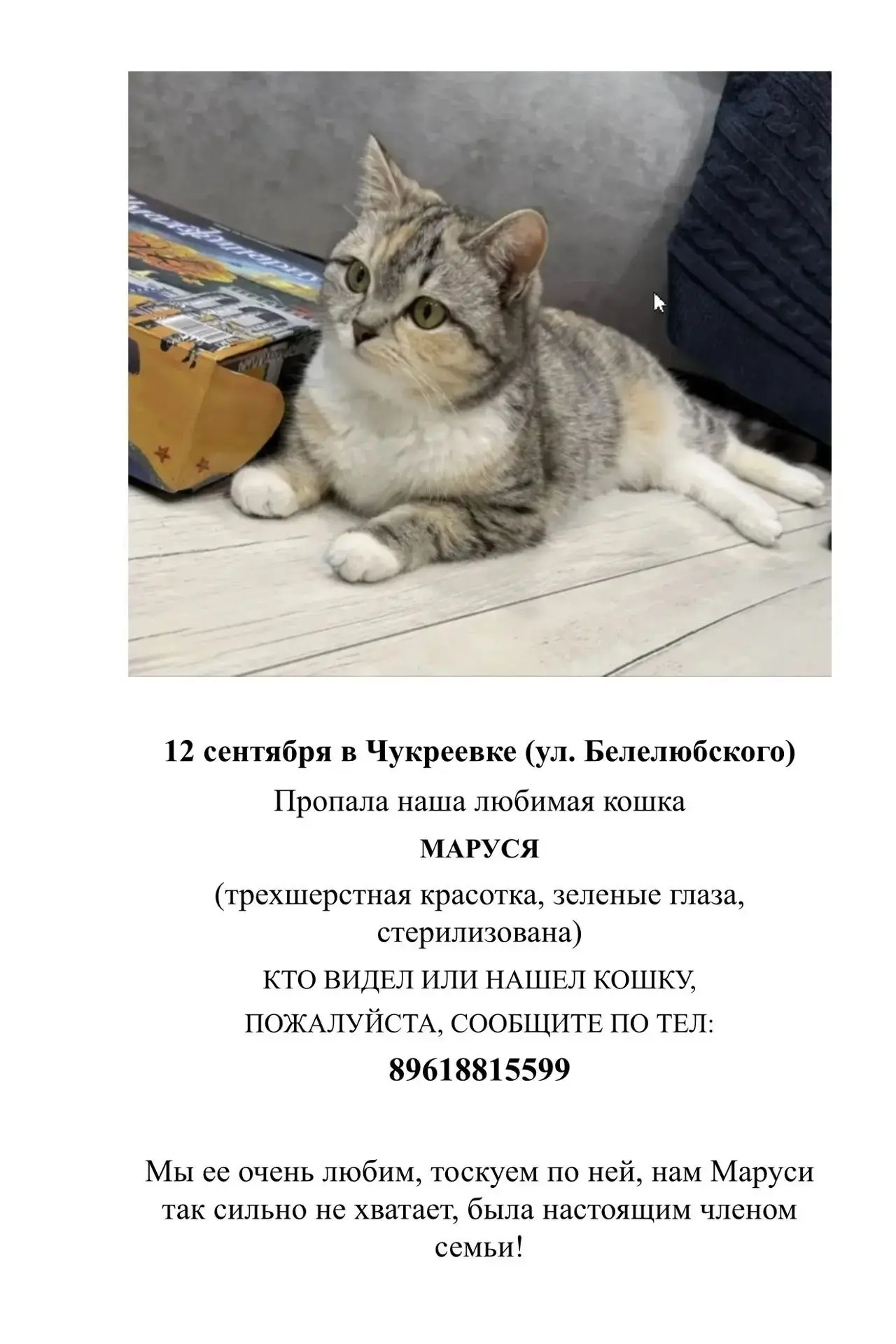Изображение из сообщения канала