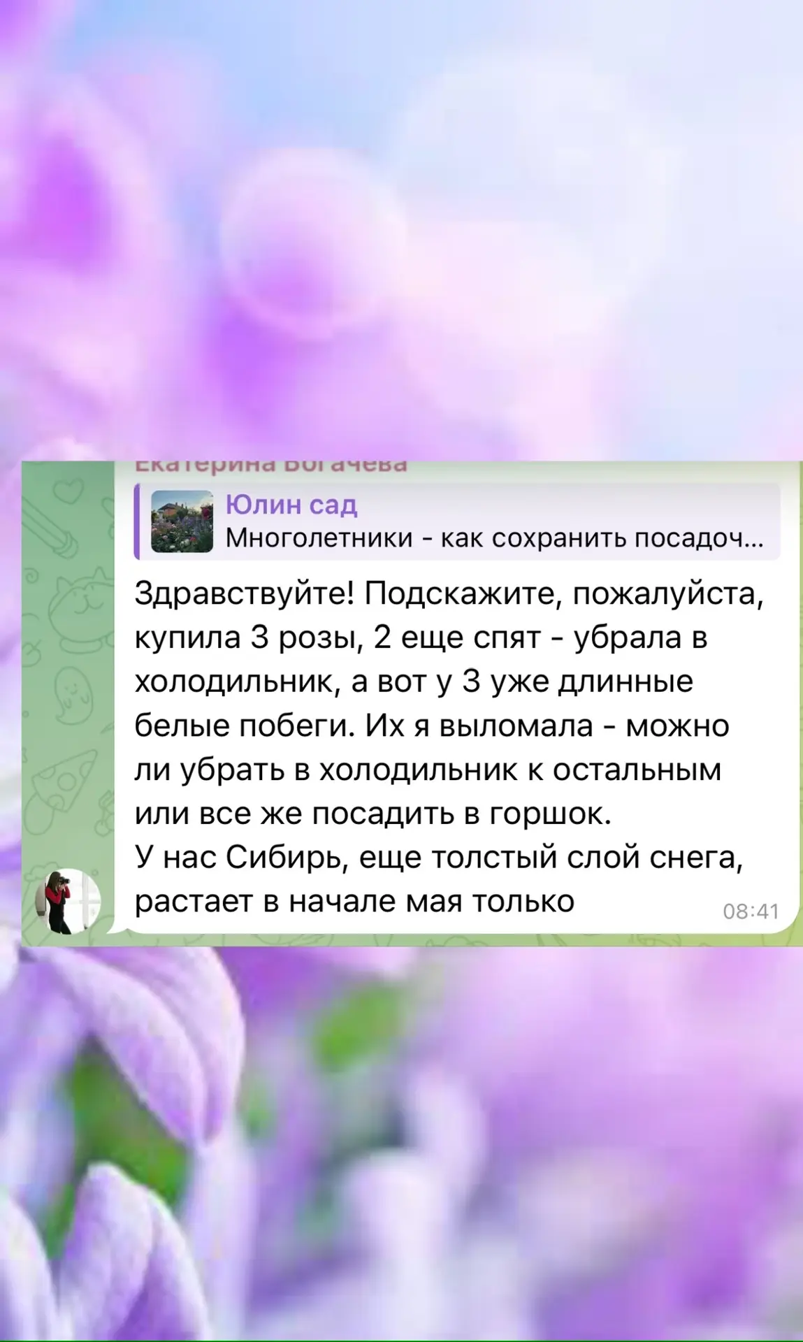 Изображение из сообщения канала