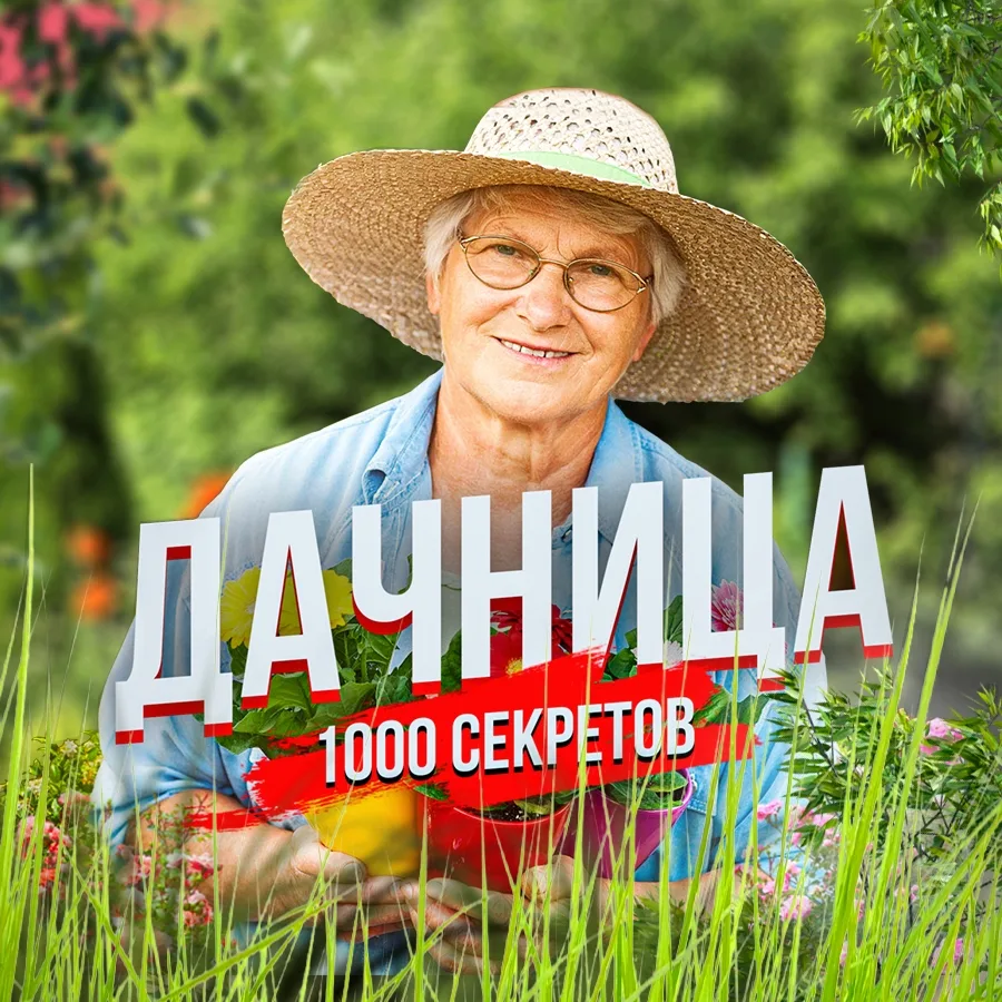 Дачница