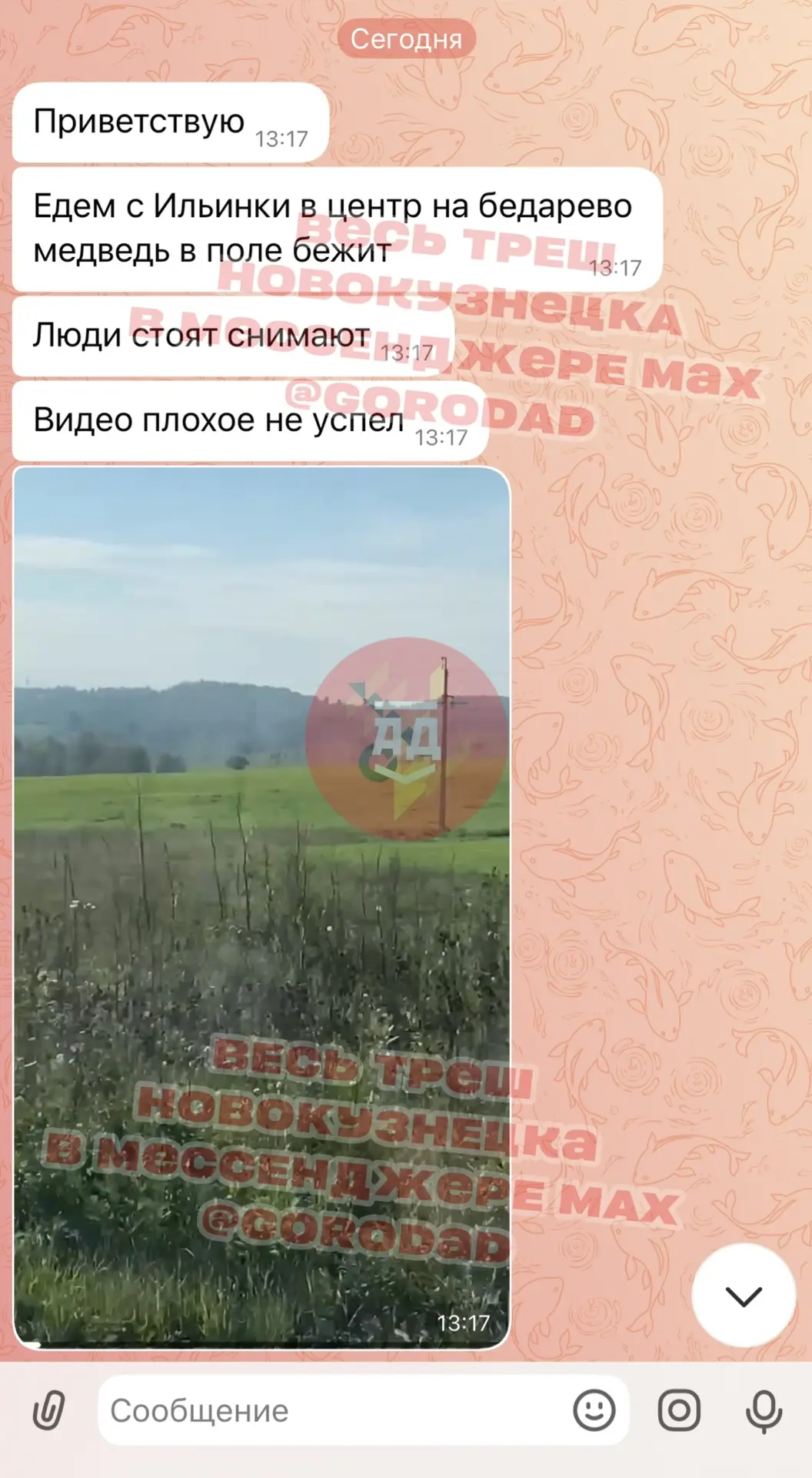 Изображение из сообщения канала