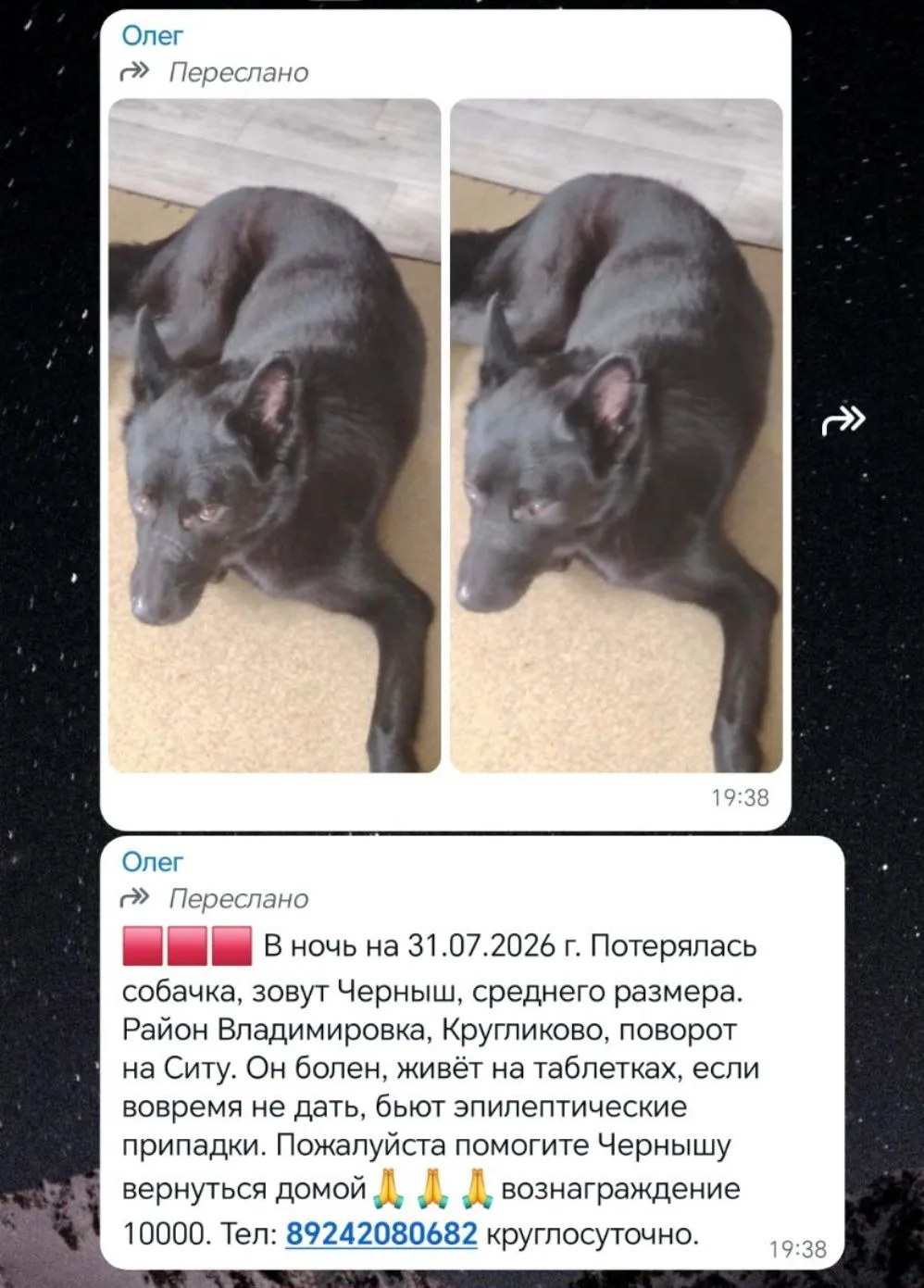 Изображение из сообщения канала