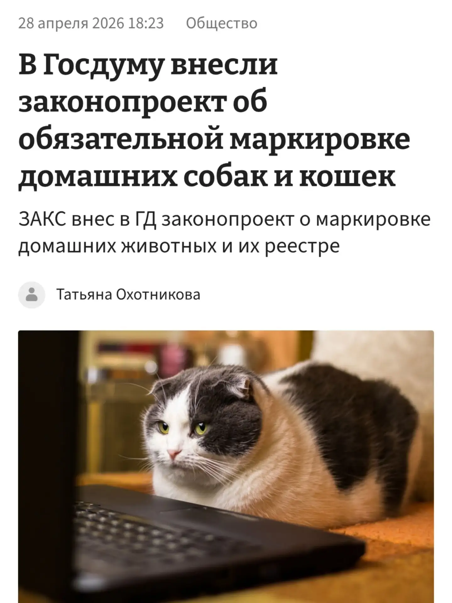 Изображение из сообщения канала