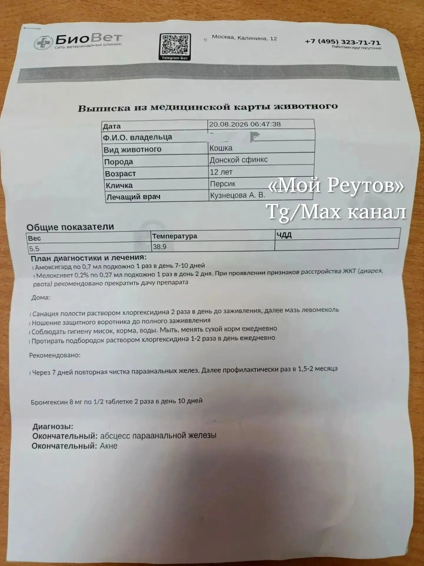 Изображение из сообщения канала
