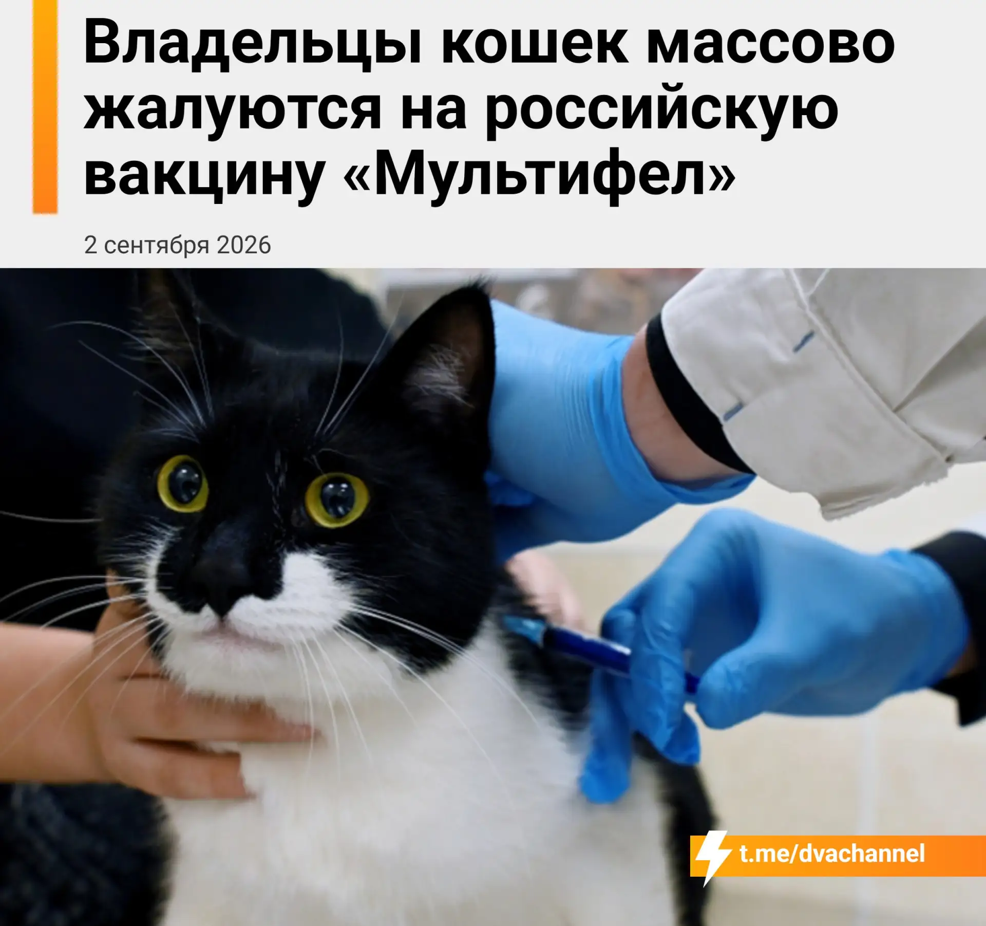 Изображение из сообщения канала