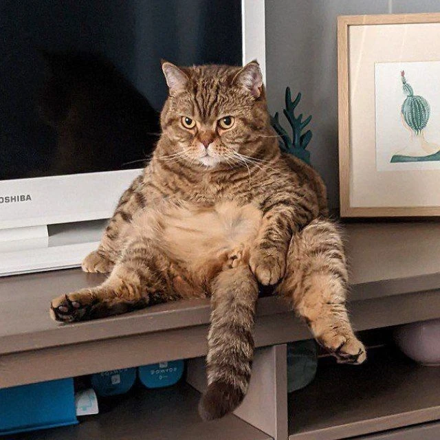 Не Копенгаген