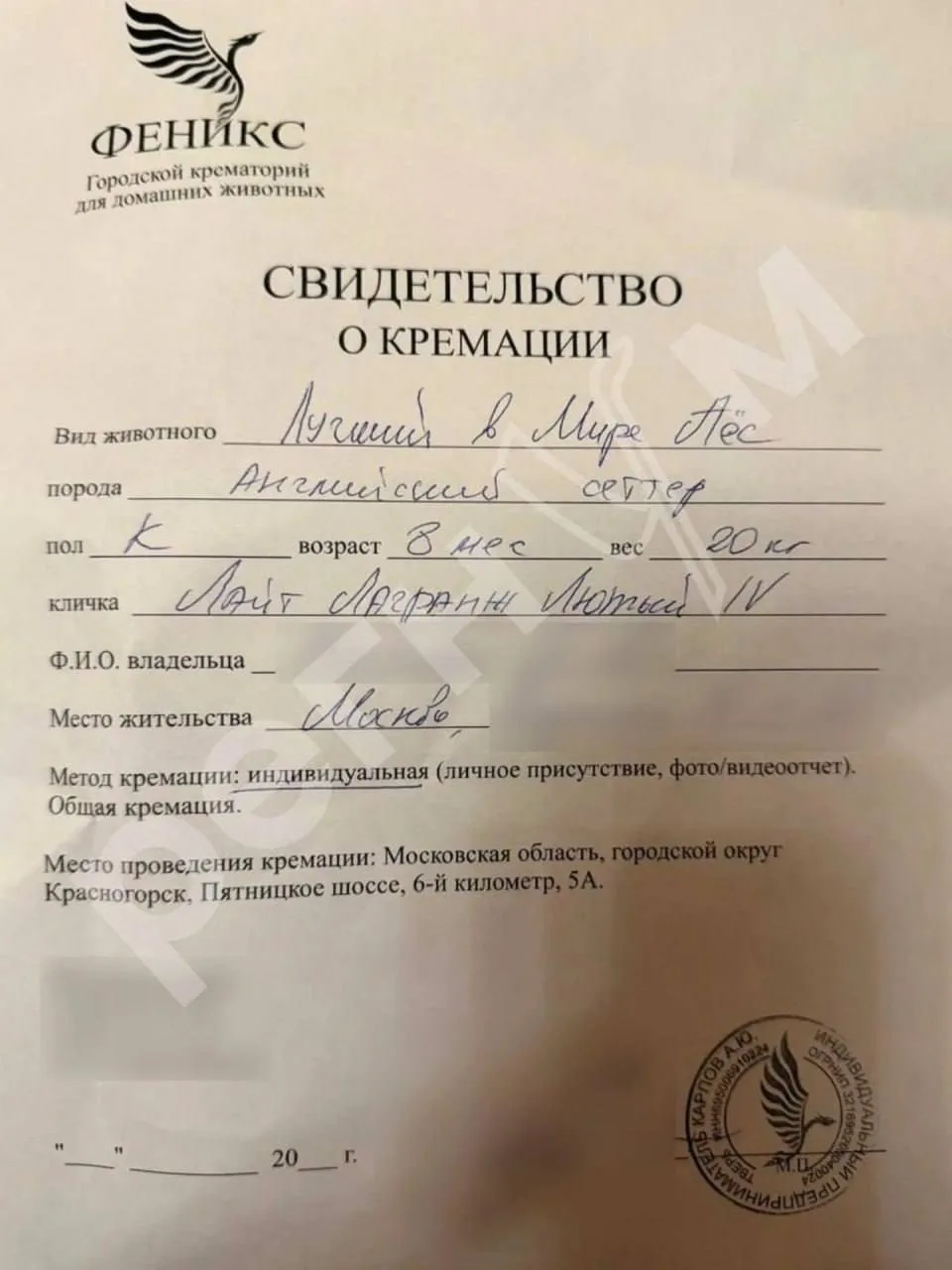 Изображение из сообщения канала