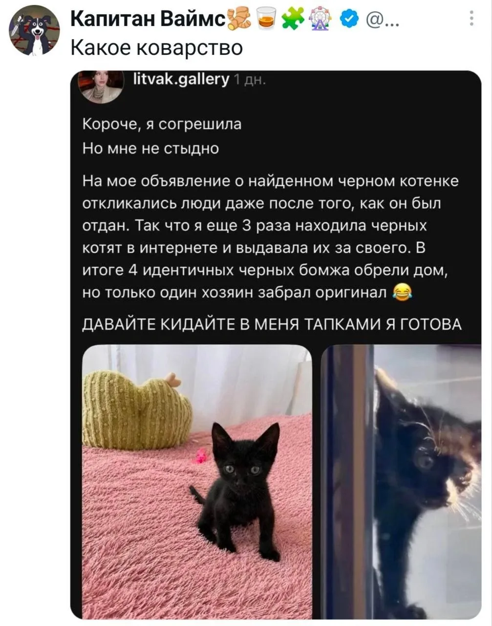 Изображение из сообщения канала