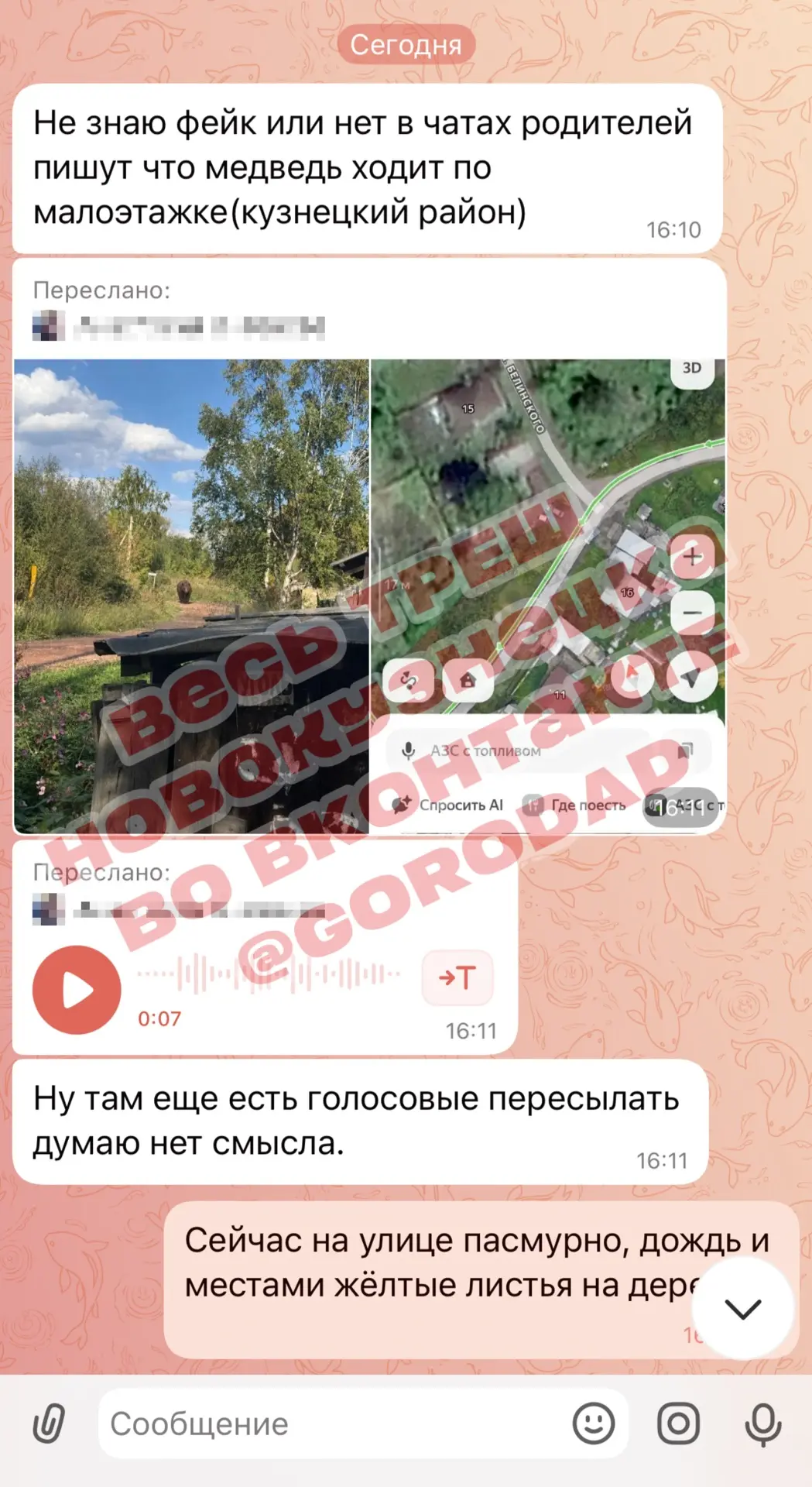 Изображение из сообщения канала
