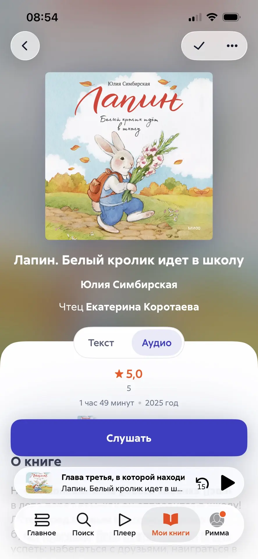 Изображение из сообщения канала