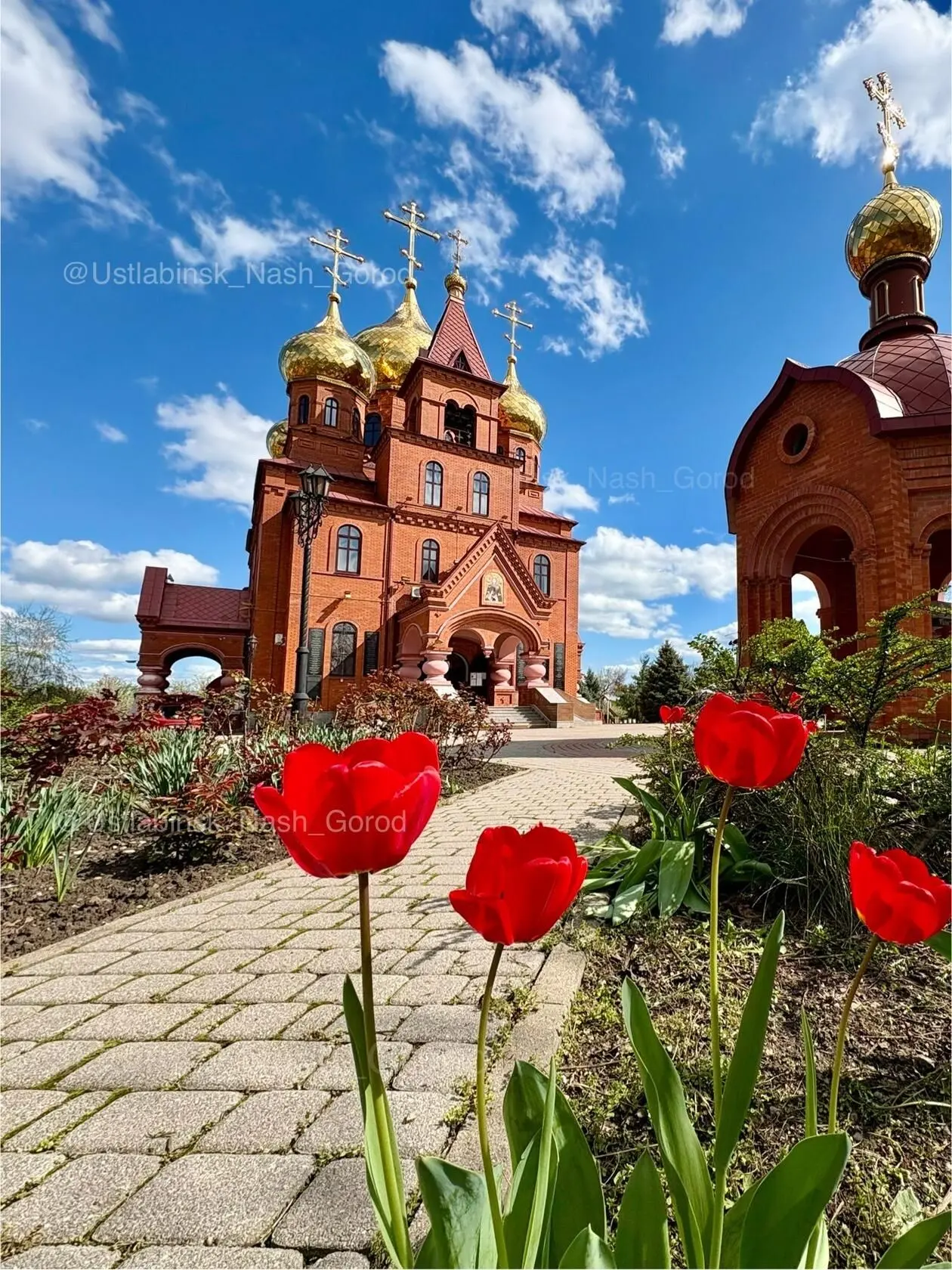 Логотип