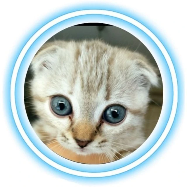 КОШКАРИУС