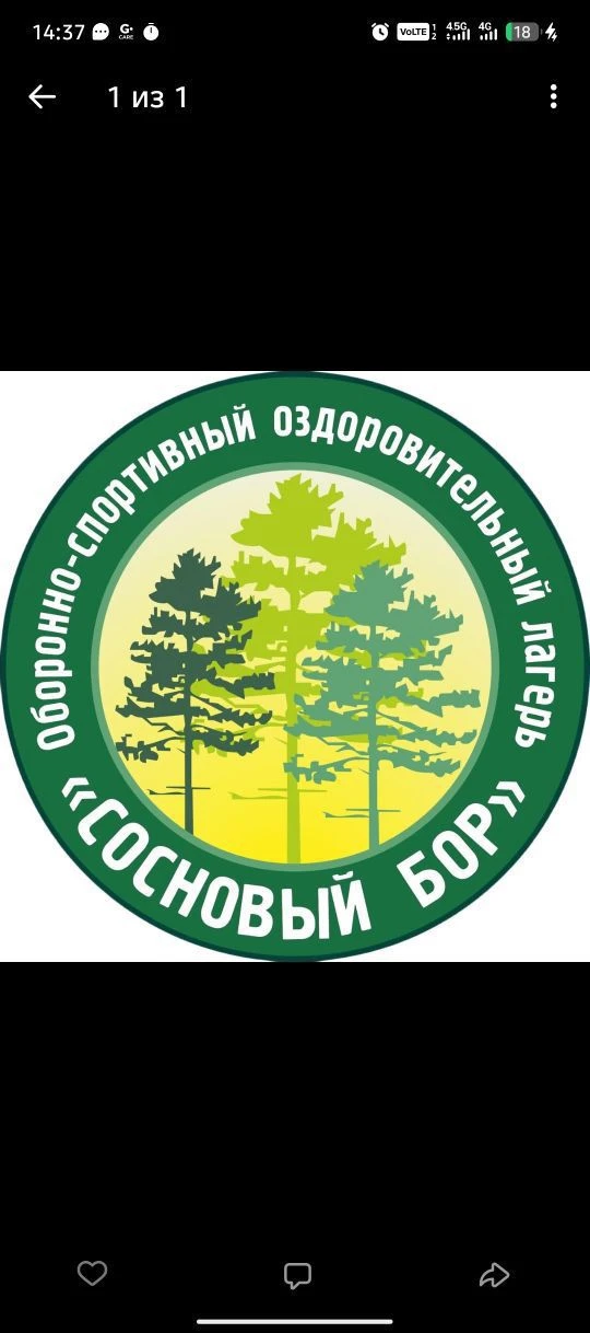 Оборонно-спортивный оздоровительный лагерь «Сосновый бор»