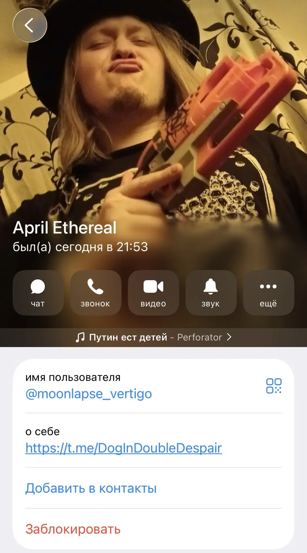 Изображение из сообщения канала