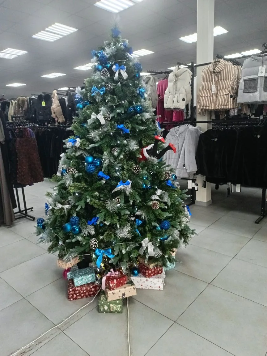 29 декабря, год 2025 ...