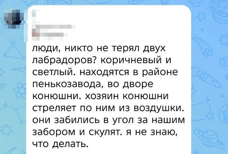 Изображение из сообщения канала