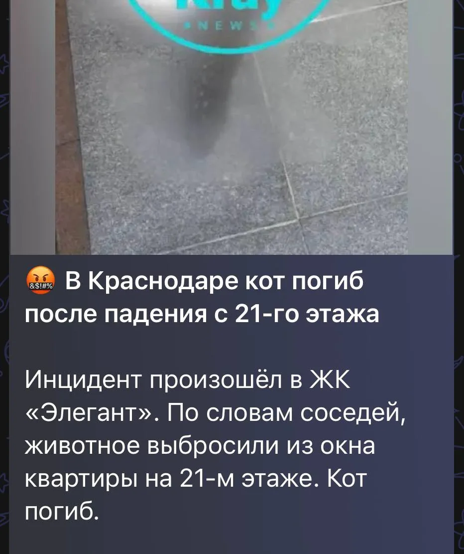 Изображение из сообщения канала