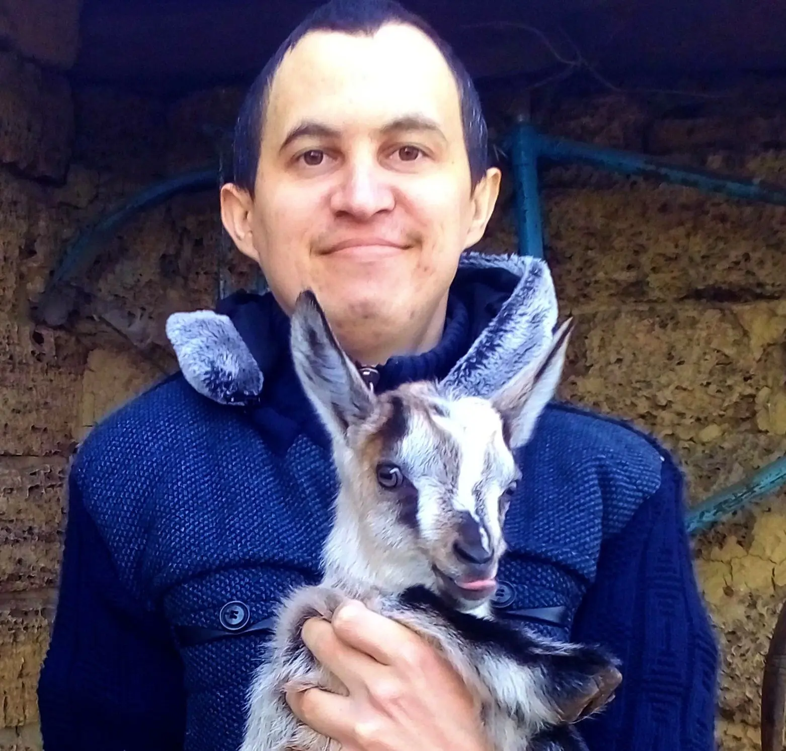 Логотип канала Твоя Дача