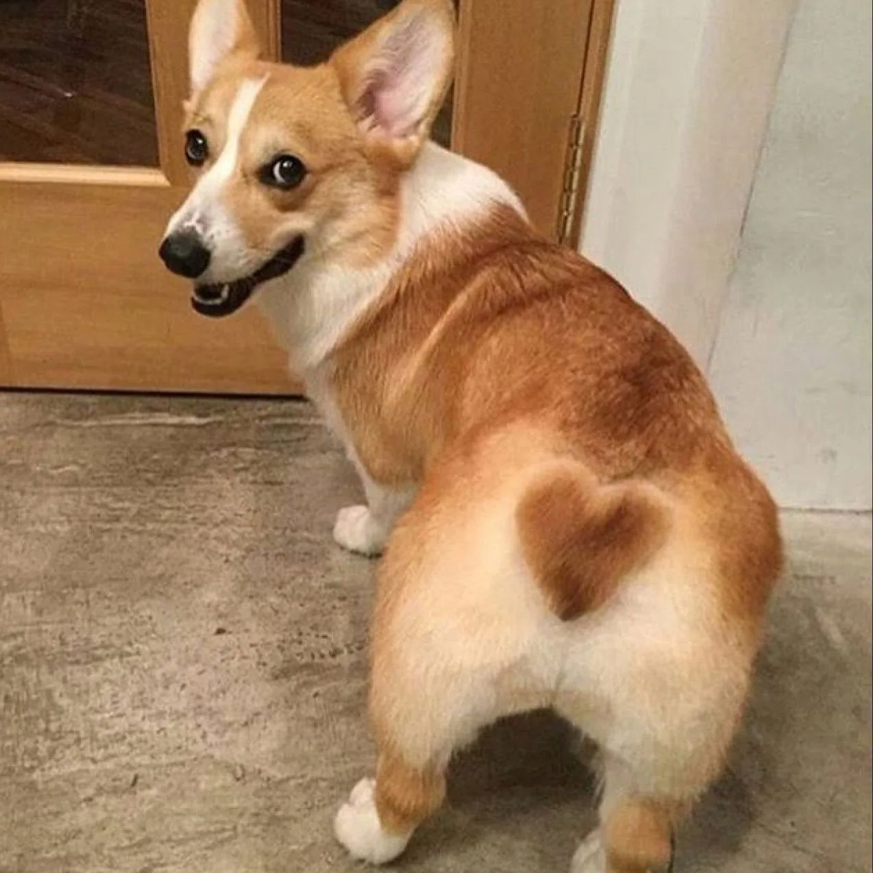 Логотип