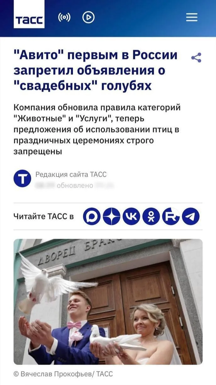 Изображение из сообщения канала