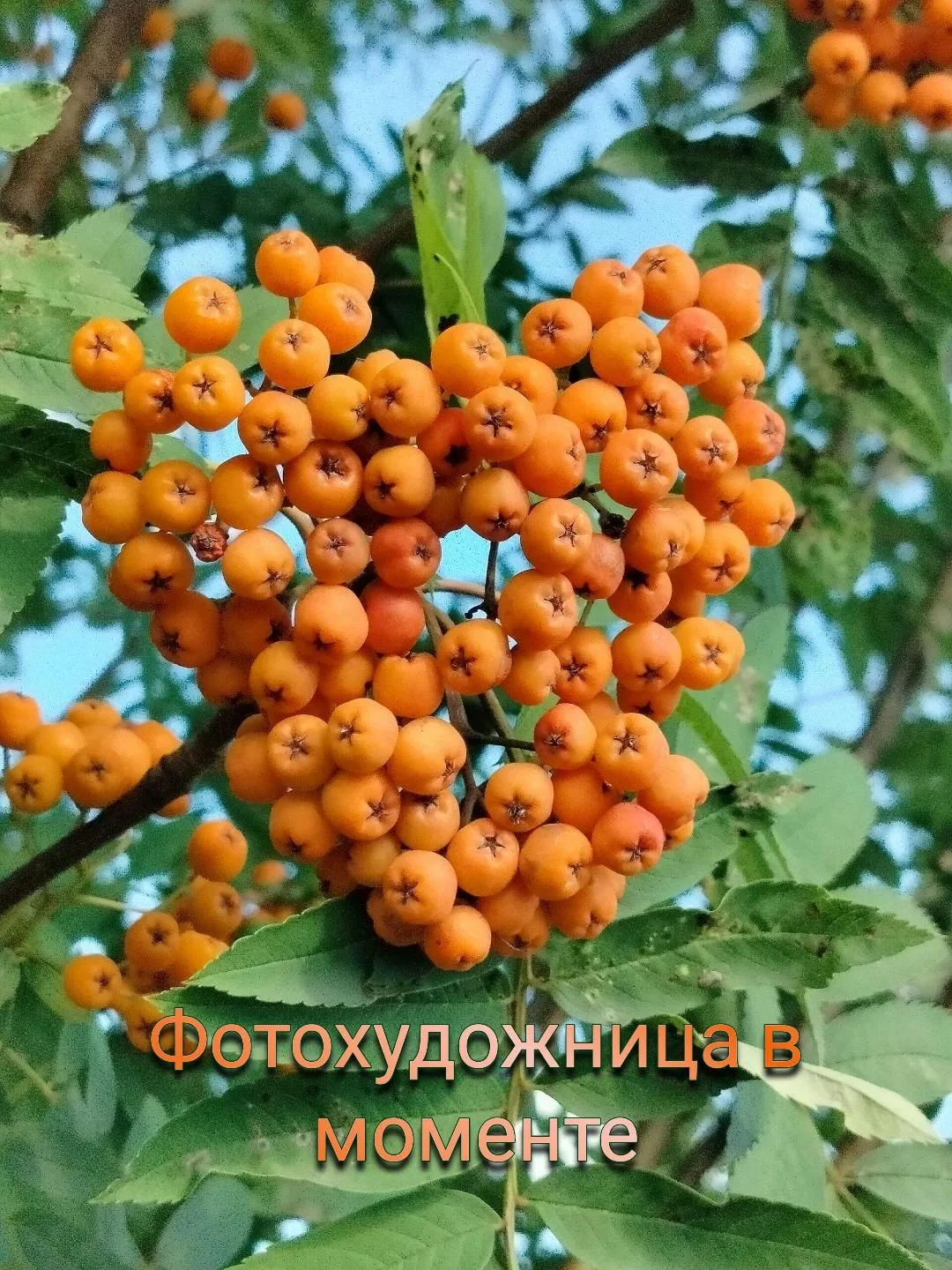 Логотип