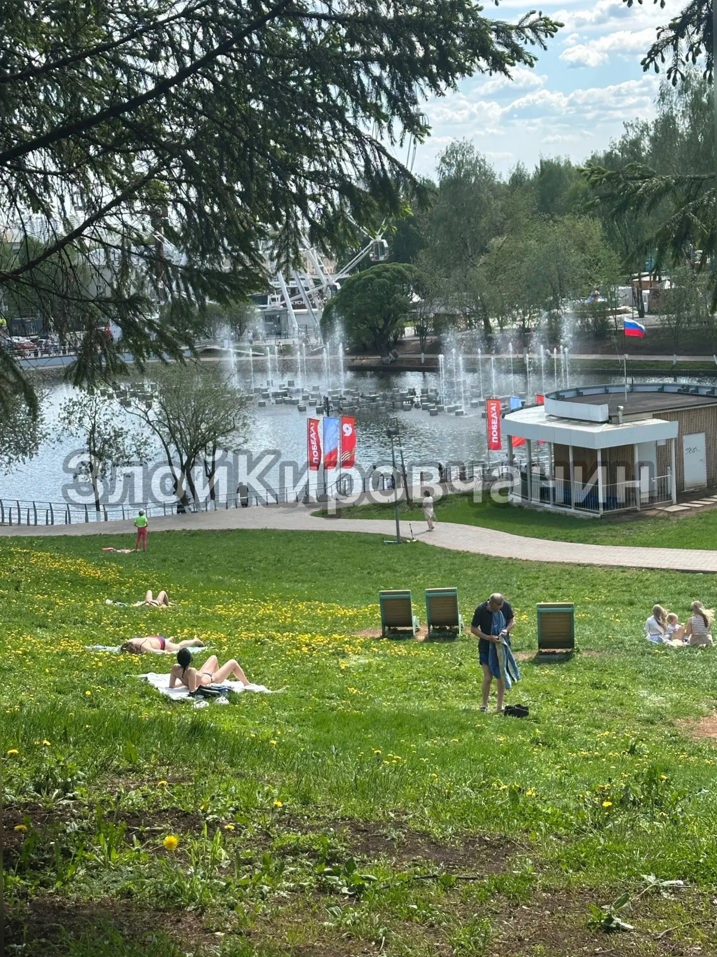 Изображение из сообщения канала