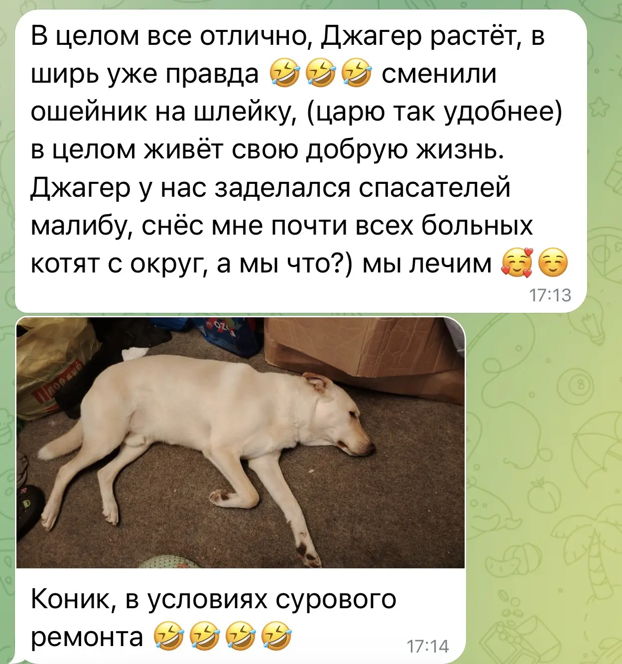 Изображение из сообщения канала