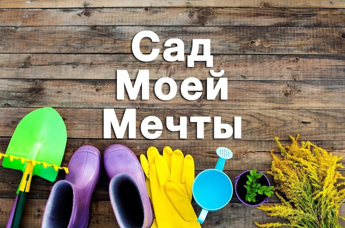 Фотография канала Max Сад моей мечты. Дача, огород, советы.