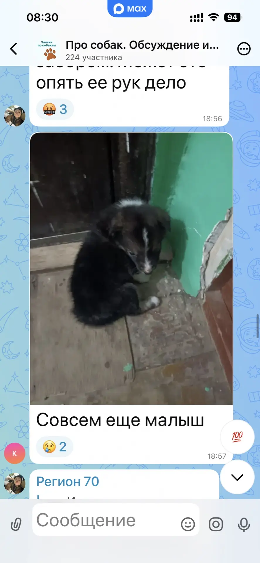 Изображение из сообщения канала