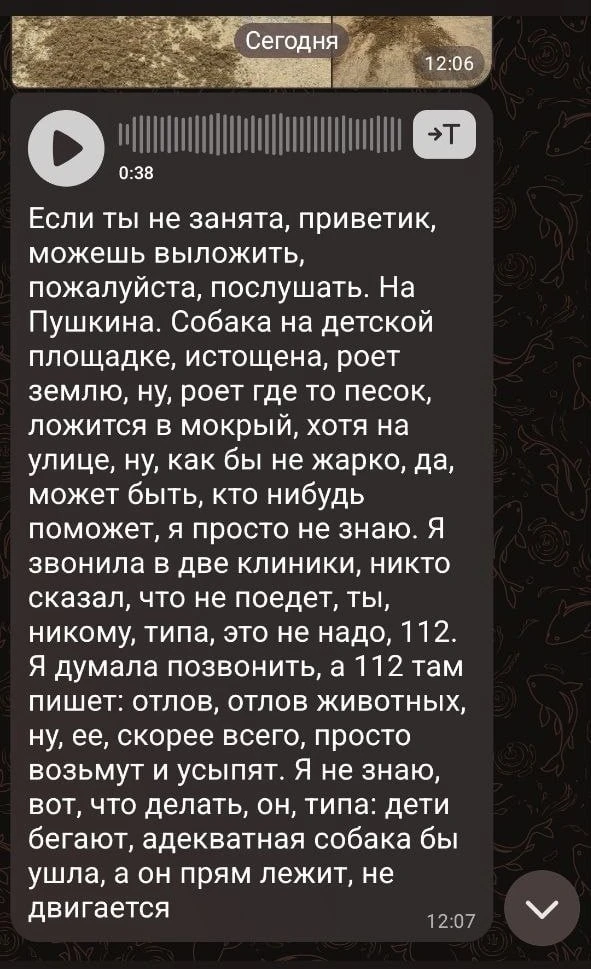 Изображение из сообщения канала