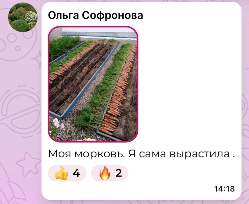 Изображение из сообщения канала