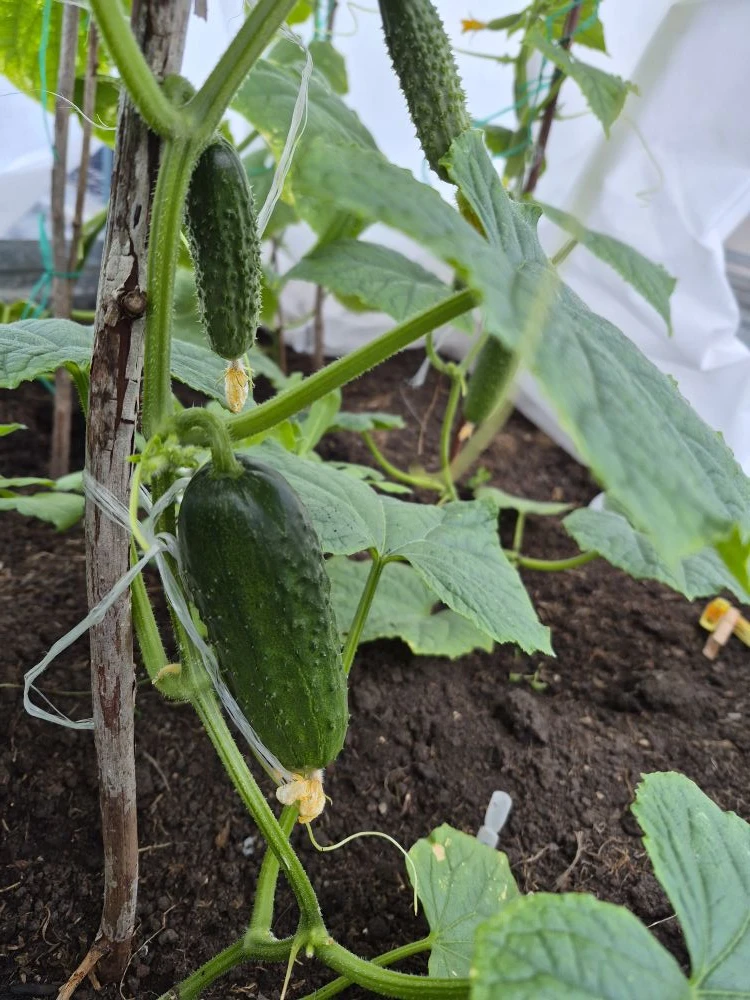 i?r=BTE2sh_eZW7g8kugOdIm2NotIgp54y1lR9khnGagmS8KQL3i2-RYtRLhjiKuHSJVDvw