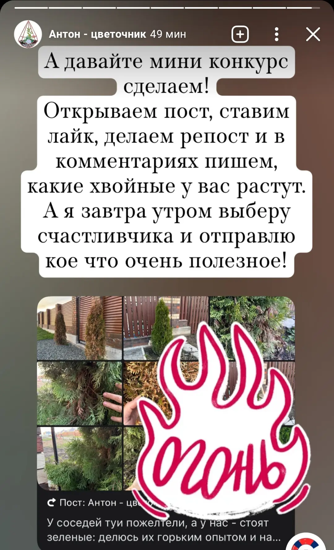 Изображение из сообщения канала