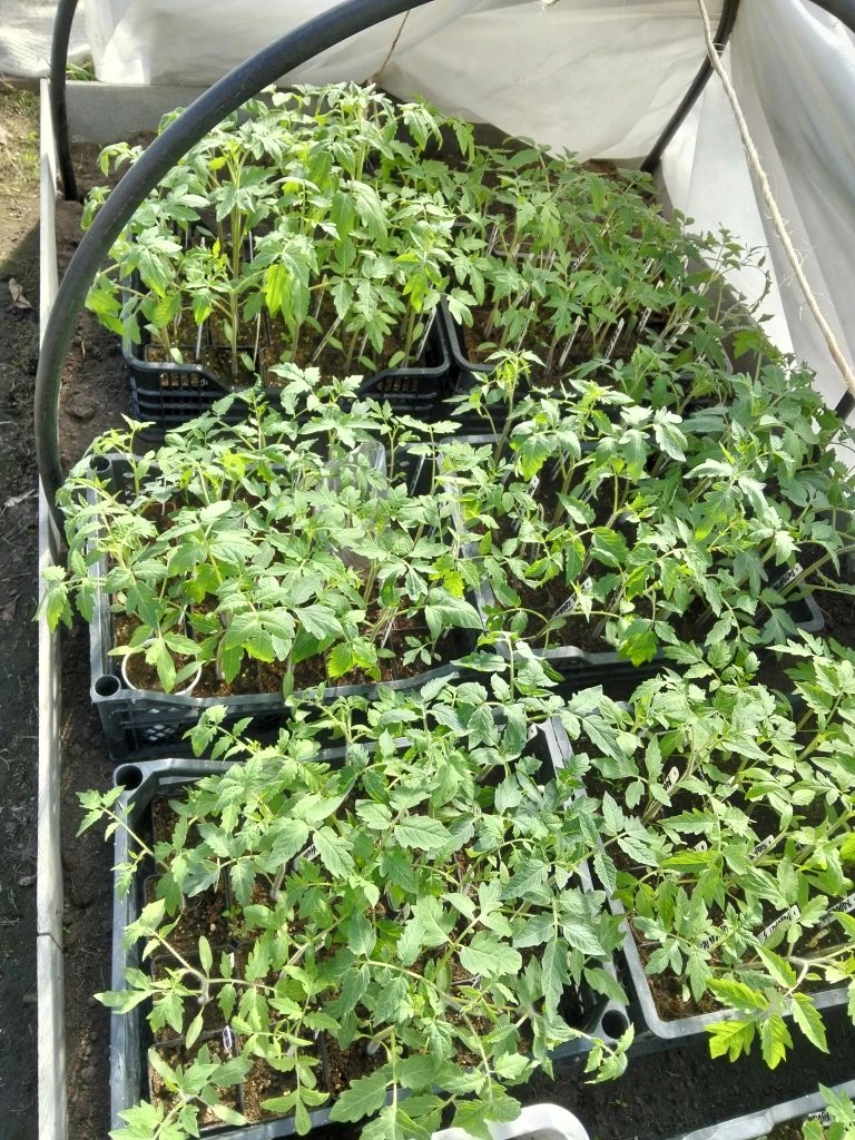 i?r=BTE2sh_eZW7g8kugOdIm2NotIol725kNnTeoDFwiJpUlWYK6XlQRbk8bCg92d85zkTw