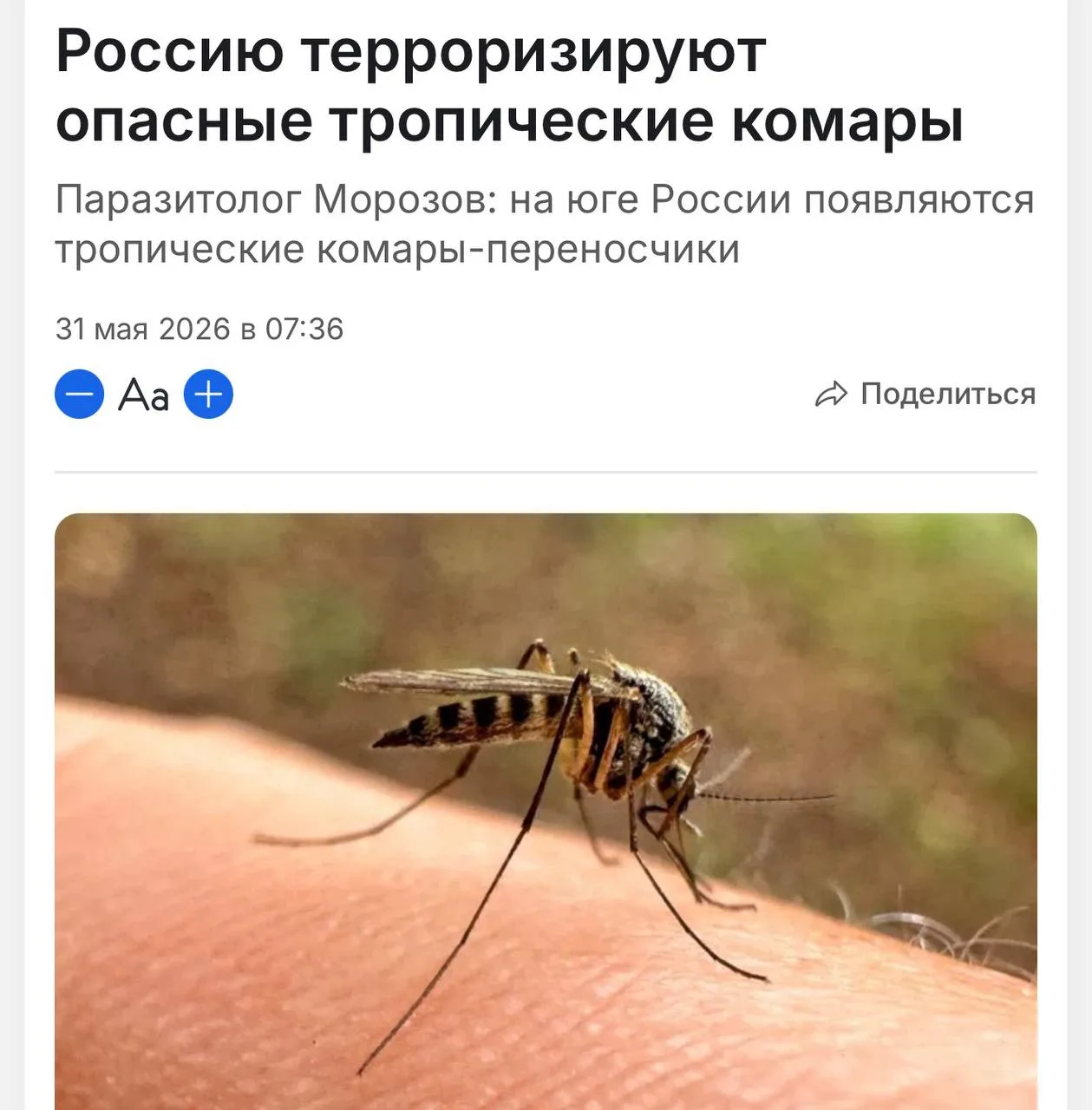 Изображение из сообщения канала