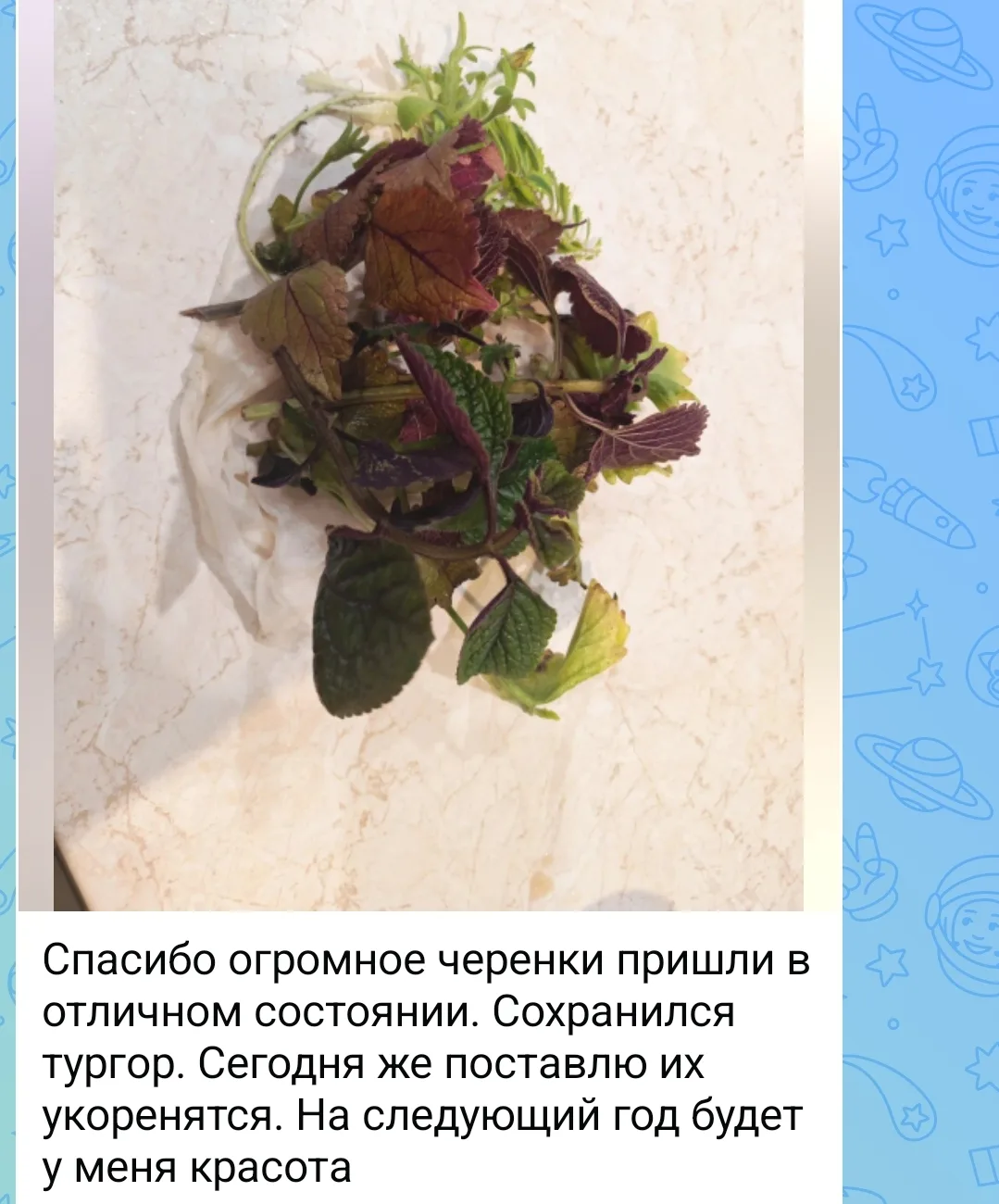 Изображение из сообщения канала